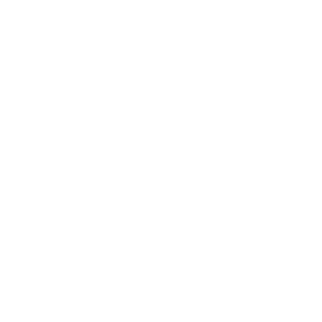 Pico AI