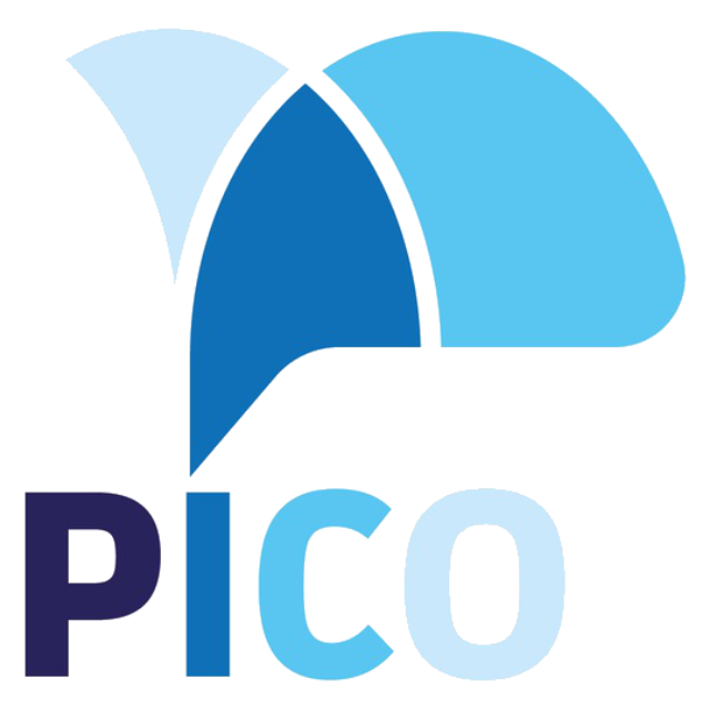 Pico AI