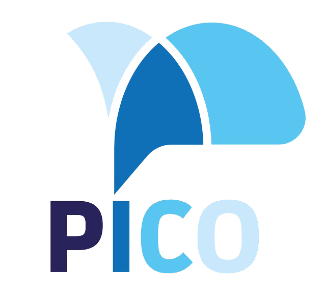 Pico AI